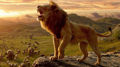 The Lion King (2019) Review – Distinct Chatter gambar png