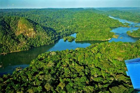 3 Razones Por Las Que La Amazonía Es Tan Importante Aunque Realmente