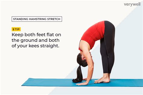 Hamstring Muscle Stretches