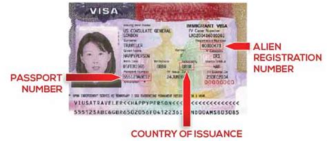 Maybe you would like to learn more about one of these? SORU ve CEVAP - Nasıl Green Card Aldım