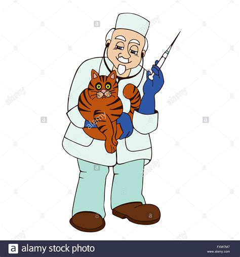 Vet Helping A Sick Cat On A White Background Stock Photo Alamy