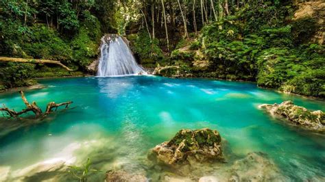 Top 5 Things To Do In Jamaica Caribbean Escape Realty