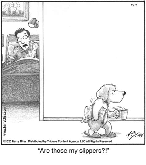 Bliss Cartoons • Harry Bliss In 2021 Cartoon Dog Cartoon Retro Humor