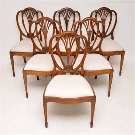 6 Antique Mahogany Sheraton Style Dining Chairs Antiques