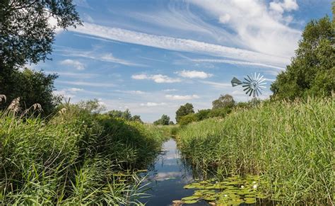 Wicken Fen National Nature Reserve Visit East Of England