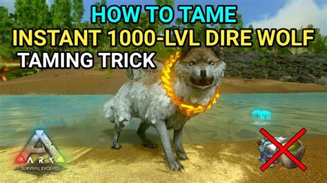 How To Tame Max Level 1000 Dire Wolf Fast Taming Trick ARK Survival