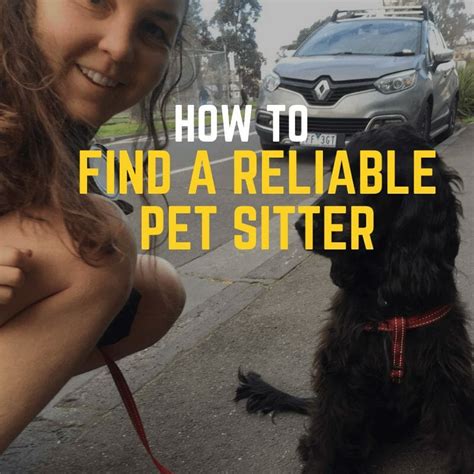How To Find A Pet Sitter Learn To Find A Reliable And Trustworthy Sitter The Travelling
