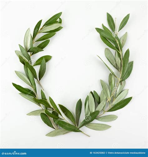 Olive Wreath Stock Photos Download 427 Royalty Free Photos