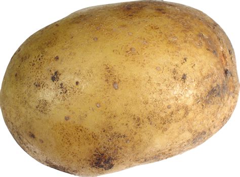 Collection Of Potato Hd Png Pluspng