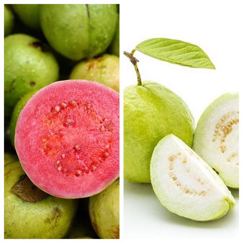 Red Guava And White Guava 100 Seeds Each Variety Fresh Seeds Etsy