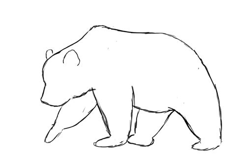 How To Draw A Black Bear Head Bear Profile Drawing At Getdrawings