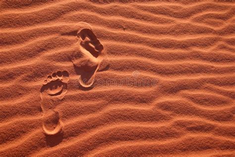 Footsteps In The Desert Stock Image Image Of Footstep 22675231