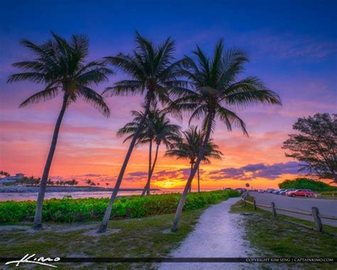 Jupiter Inlet Sunrise Coconut Tree Florida Sunrise Florida Sunrise