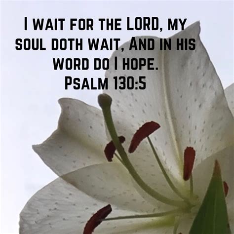 Psalm I Wait For The Lord My Soul Doth Wait And In His Word Do I