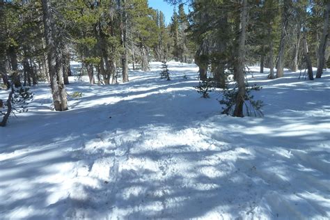 Finally Back On The Mt Rose Snow Packed Trail No More Po Flickr