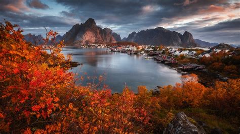 Reine At Fall Wallpaper Backiee