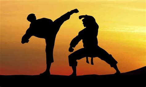 artes marciais mistas artes marciais variadas defesa
