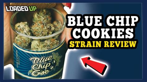 A coach (nick nolte) that has always had a successful career as coach of western university is facing the threat of his first ever losing season. The Best Girl Scout Cookies?! Weed Strain Review Blue Chip ...