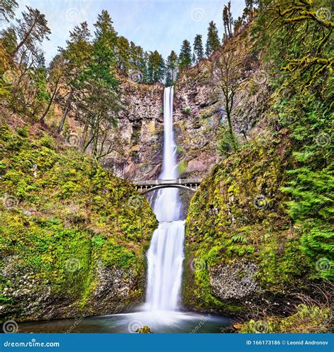 Multnomah Falls In The Columbia River Gorge Usa Stock Photo Image Of