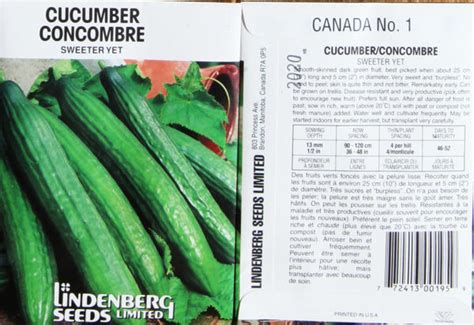 Cucumber Sweeter Yet Green Valley Garden Centre