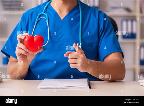 Male Doctor Cardiologist Holding Heart Model Stock Photo Alamy