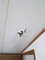 Ceiling Repair For Mobile Homes Images