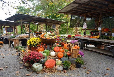 Meet The Man Behind Chadds Fords Great Pumpkin Carve The Hunt Magazine