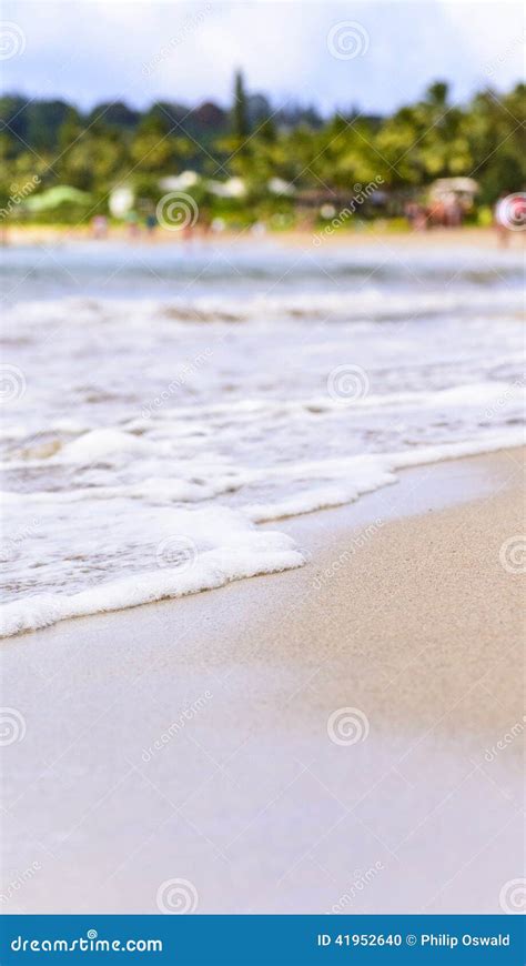 Seafoam Washing Up On Tropical Beach Stock Photo Image Of Relaxing