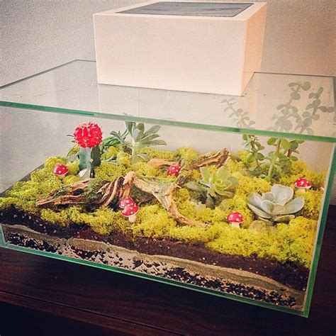 Create A Hip Looking Terrarium From An Old Fish Tank Grab Some Soil