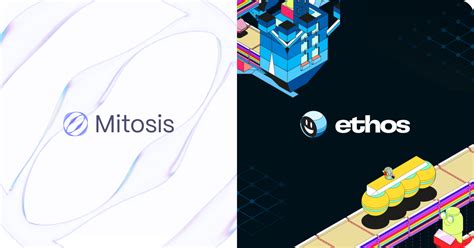 Hyperlane + Mitosis ecosystem growth