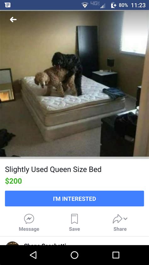 Goods with adequate firmness and level of inflation with compressible springs are in stock. Slightly Used Mattress For Sale : funny