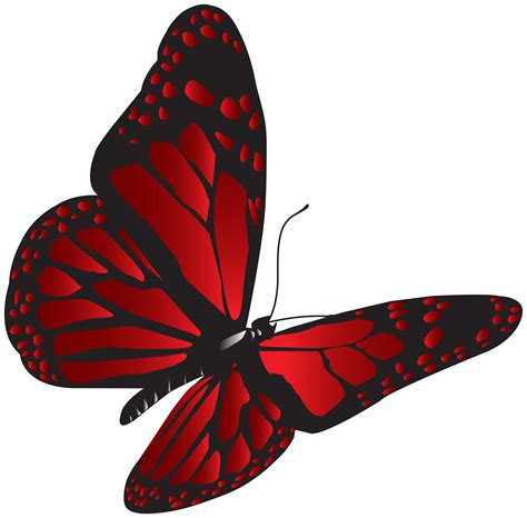 Red Butterfly Cliparts Free Download On Clipartmag
