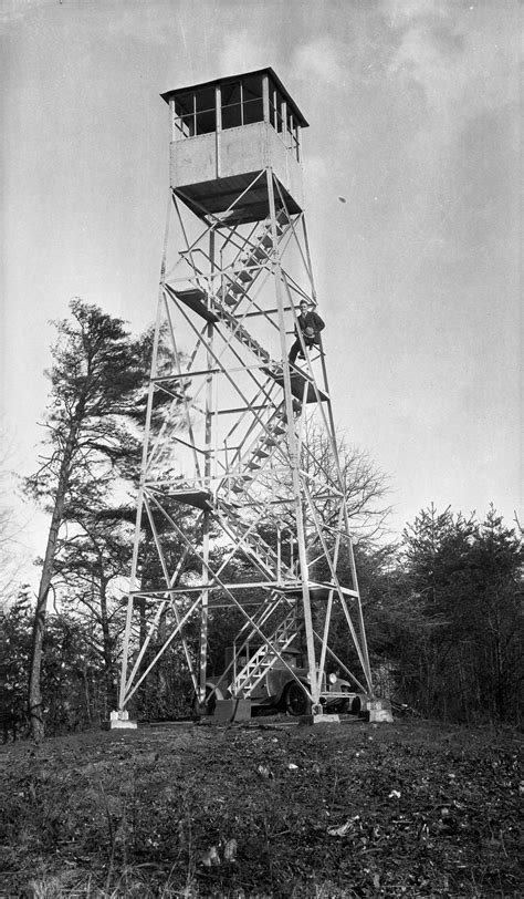 North Carolina Forest Service Photograph Collection Forest History