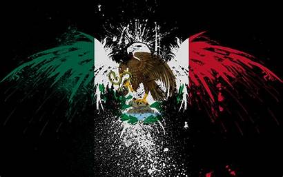 Flag Mexican Mexico Desktop Wallpapersafari Code