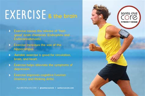 How Exercise Benefits The Brain Santa Cruz Core Fitness Rehab
