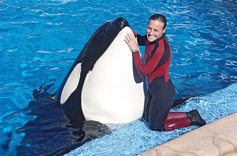 Shamu Kills Dawn Brancheau Killer Whale Trainer At Sea World Video