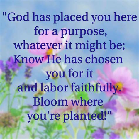 Inspirational Quotes Bloom Where You Are Planted Atozmoms Bsf Blog