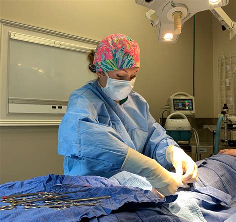 Surgery Vet In Cumming Creekside Animal Hospital