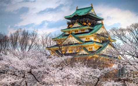 Our wallpapering accessories will help the job. Spring in Japan wallpapers | PixelsTalk.Net