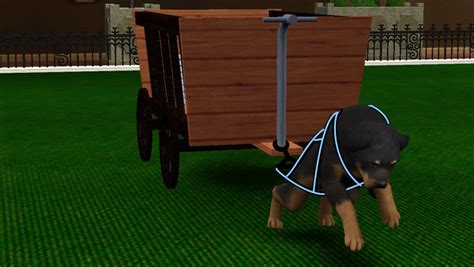 Sims 3 Dog Kennel Apolda S 2nd Weight Pulling Show Results Sims Kennel Club