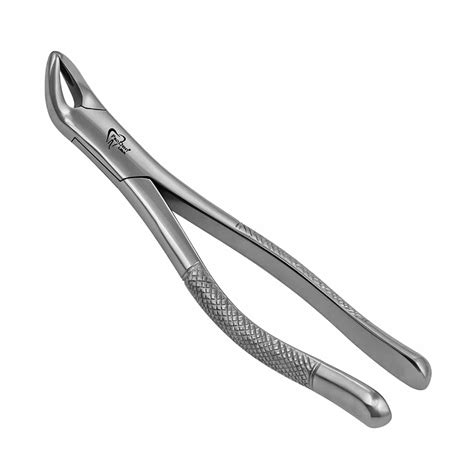 151 Universal Extraction Forceps Prodentusa
