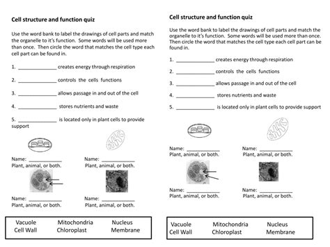 We did not find results for: 34 Label Plant Cell Quiz - Labels For You