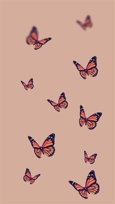 ☾ᴍᴏɴᴀʀᴄʜ☾ Cute Desktop Wallpaper Butterfly Wallpaper Butterfly