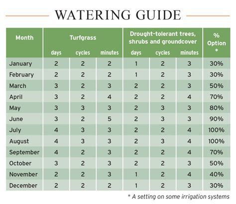 Effective Watering Schedule For Garden Plants