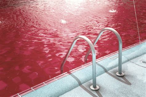 Can I Get Red Tide In My Swimming Pool Integrity Pool Development