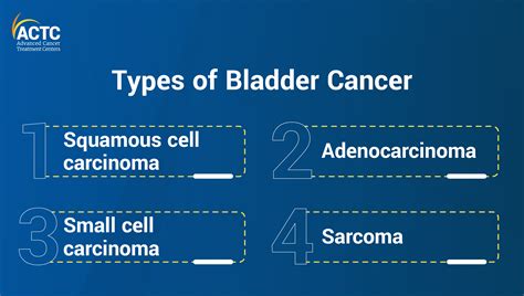All You Need To Know About Bladder Cancer Actc Blog