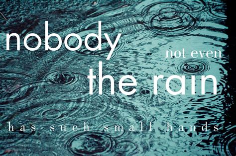 Hilarious Rain Quotes