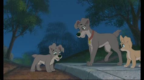 Scamp Wiki Lady And The Tramp Amino