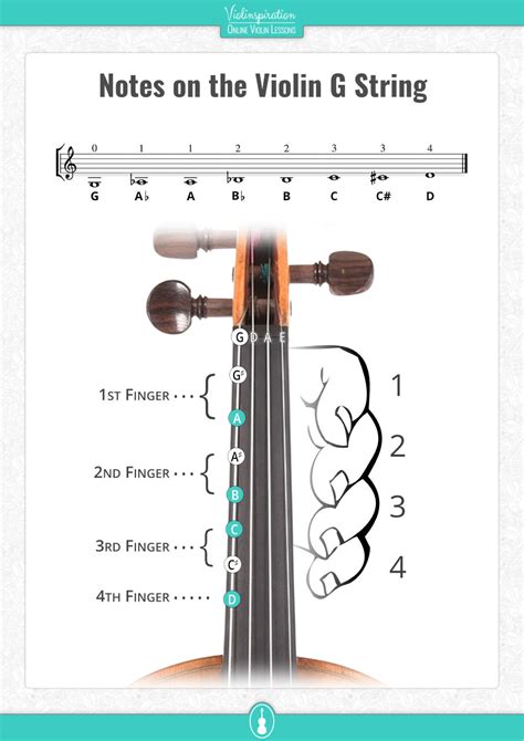 All Violin Notes For Beginners With Easy Pdf Charts Violinspiration