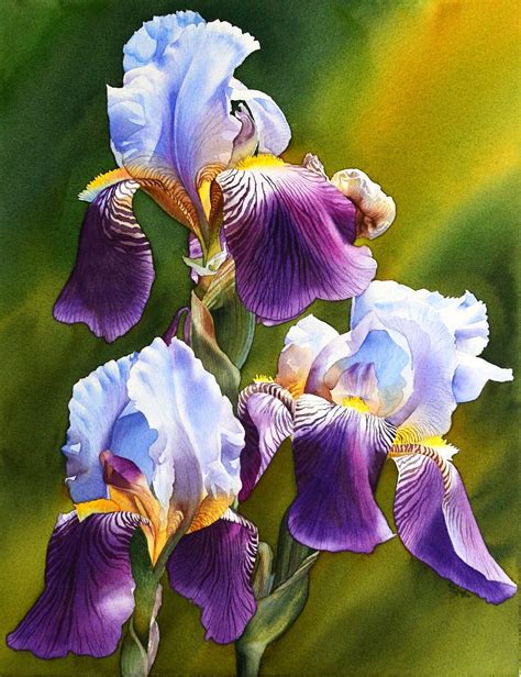Sunny Iris Original Watercolor Painting Beautiful Flowers